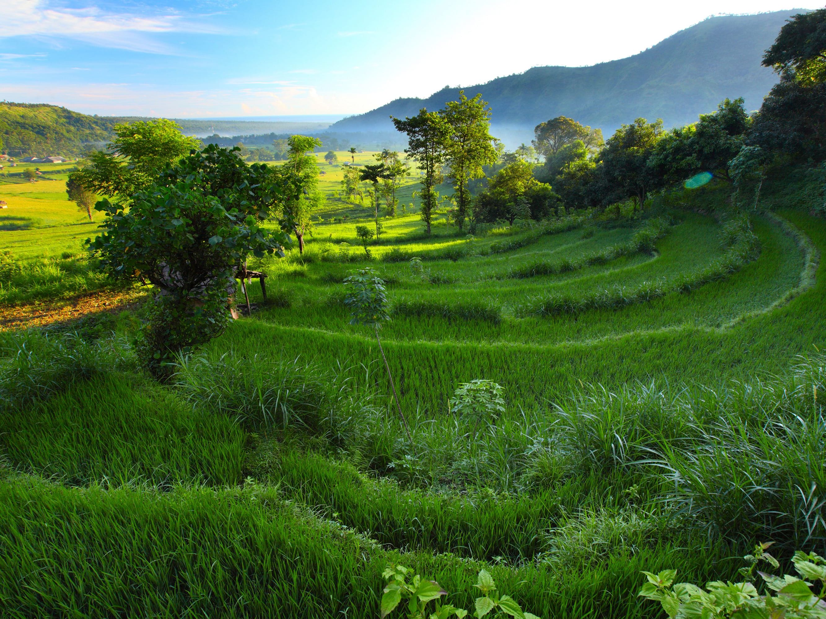 Ubud