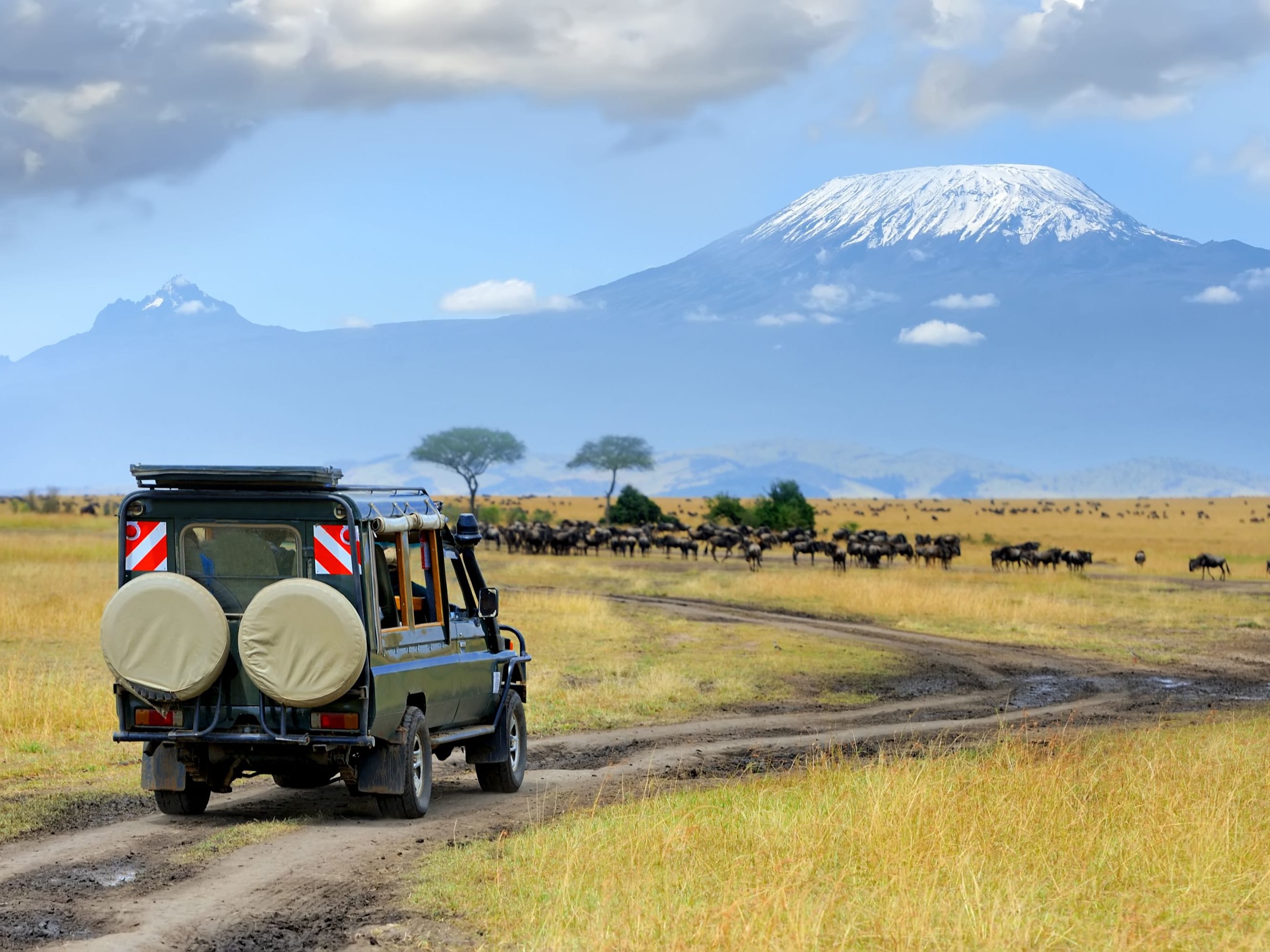 Nairobi - Amboseli