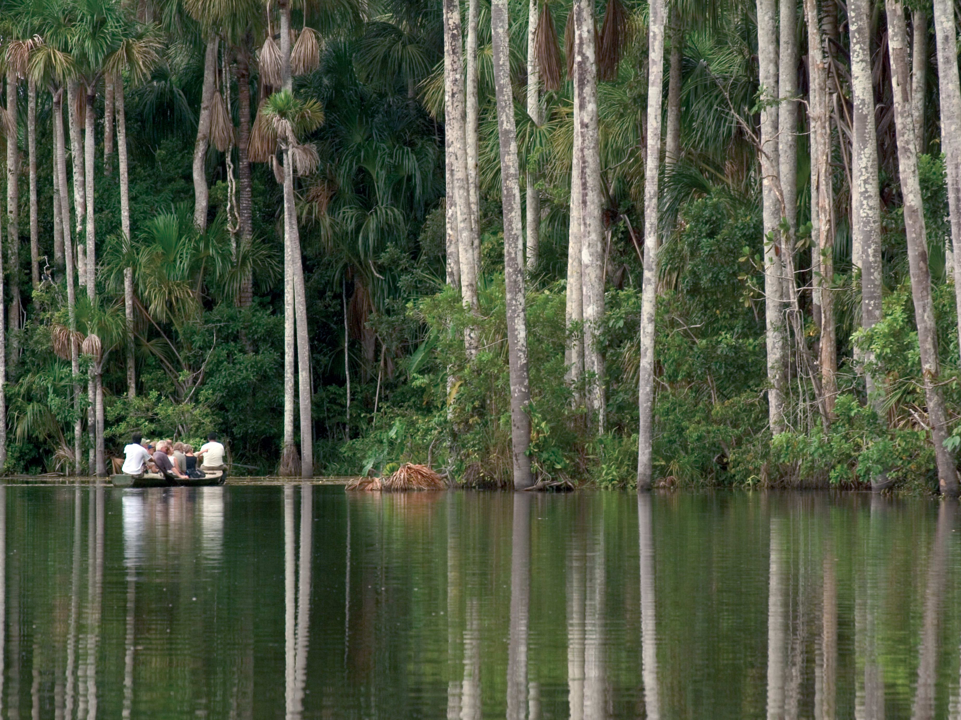 Cusco - Amazon Jungle