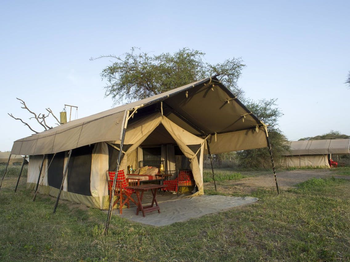 Camp Zebra - Kogatende