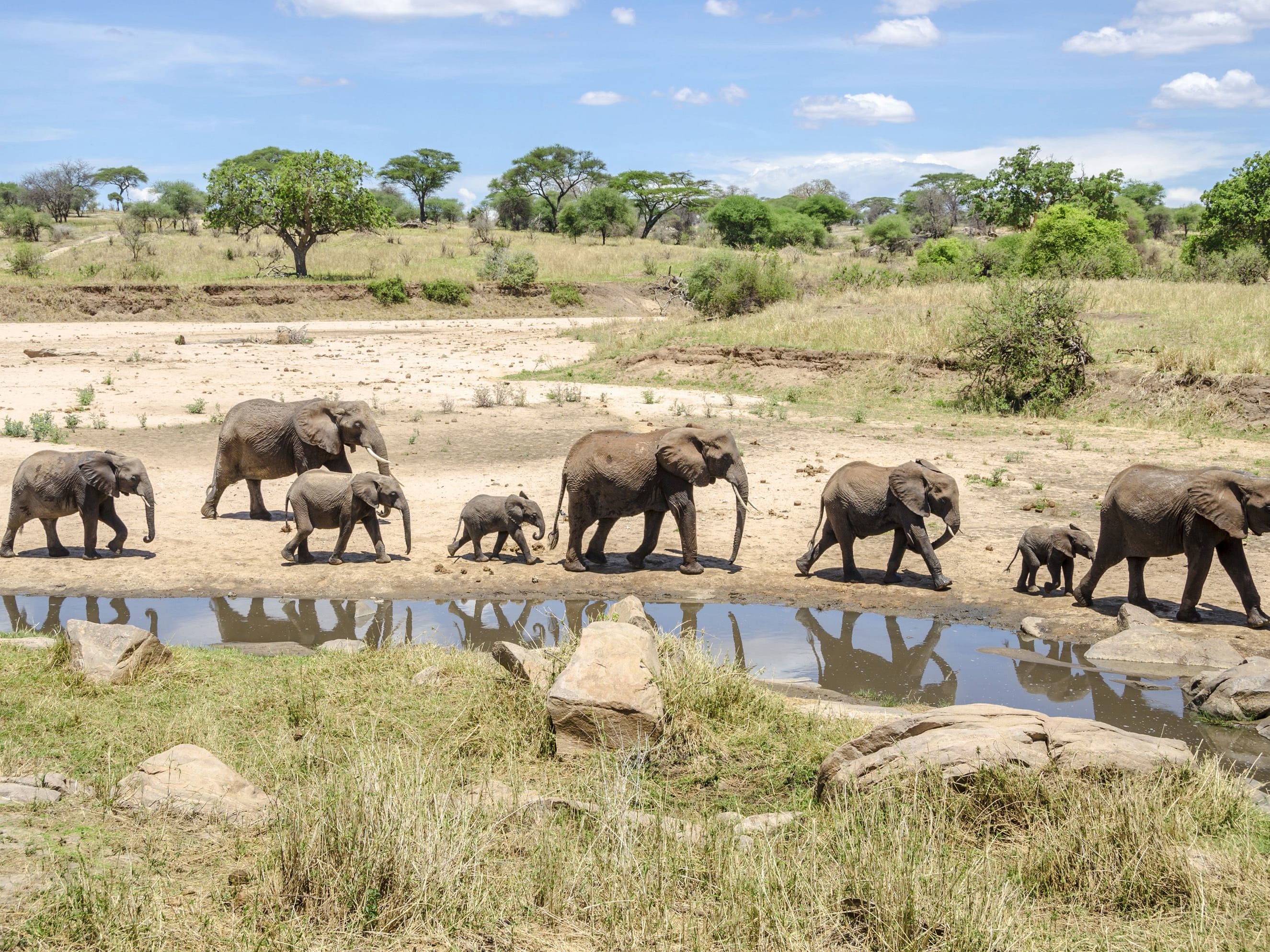 Arusha - Tarangire