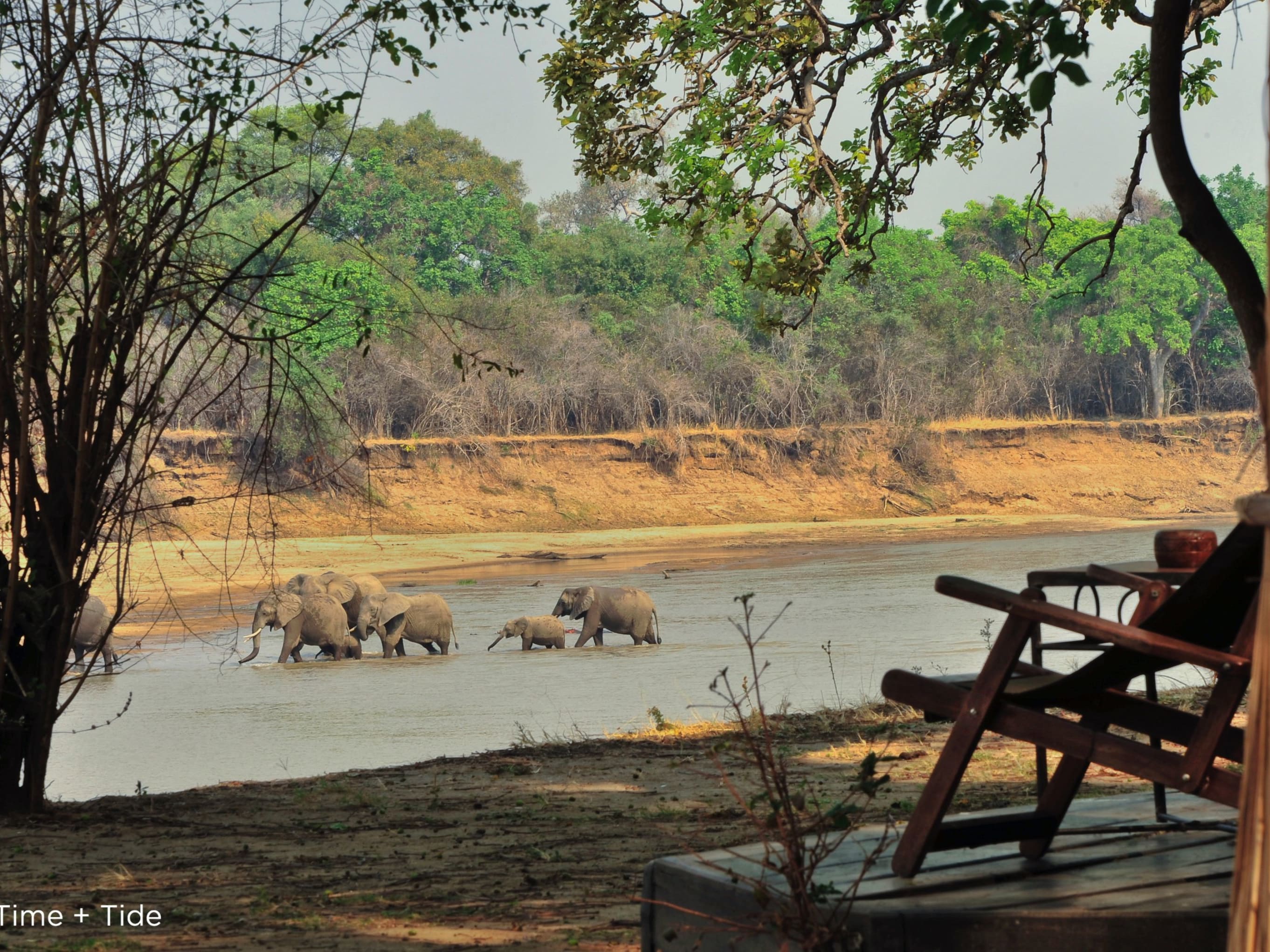 South Luangwa - Lusaka Departure