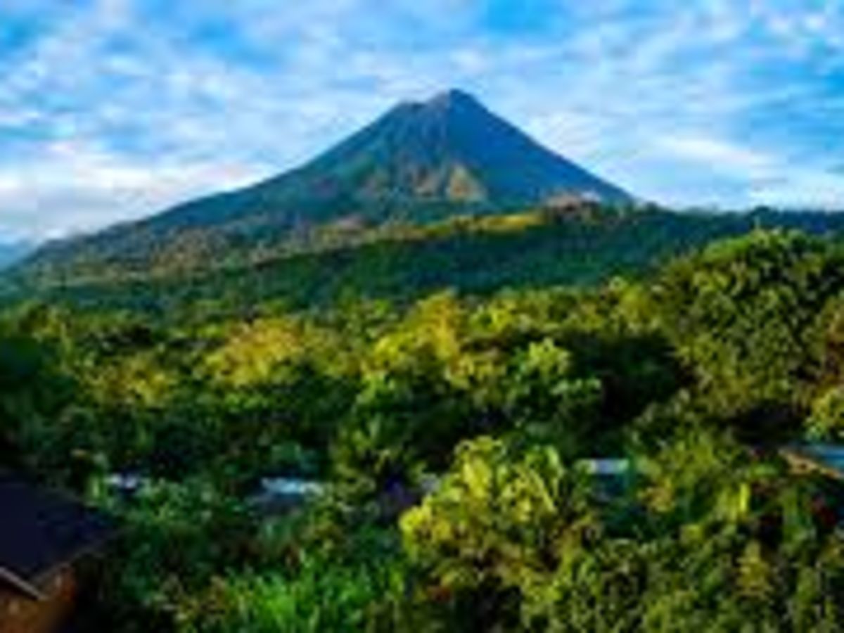 Arenal Nayara Hotel & Gardens