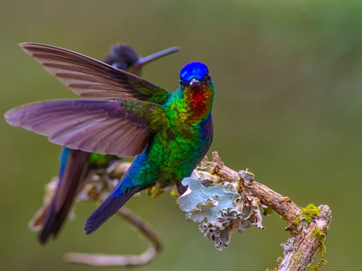 Exploring Bajos del Toro