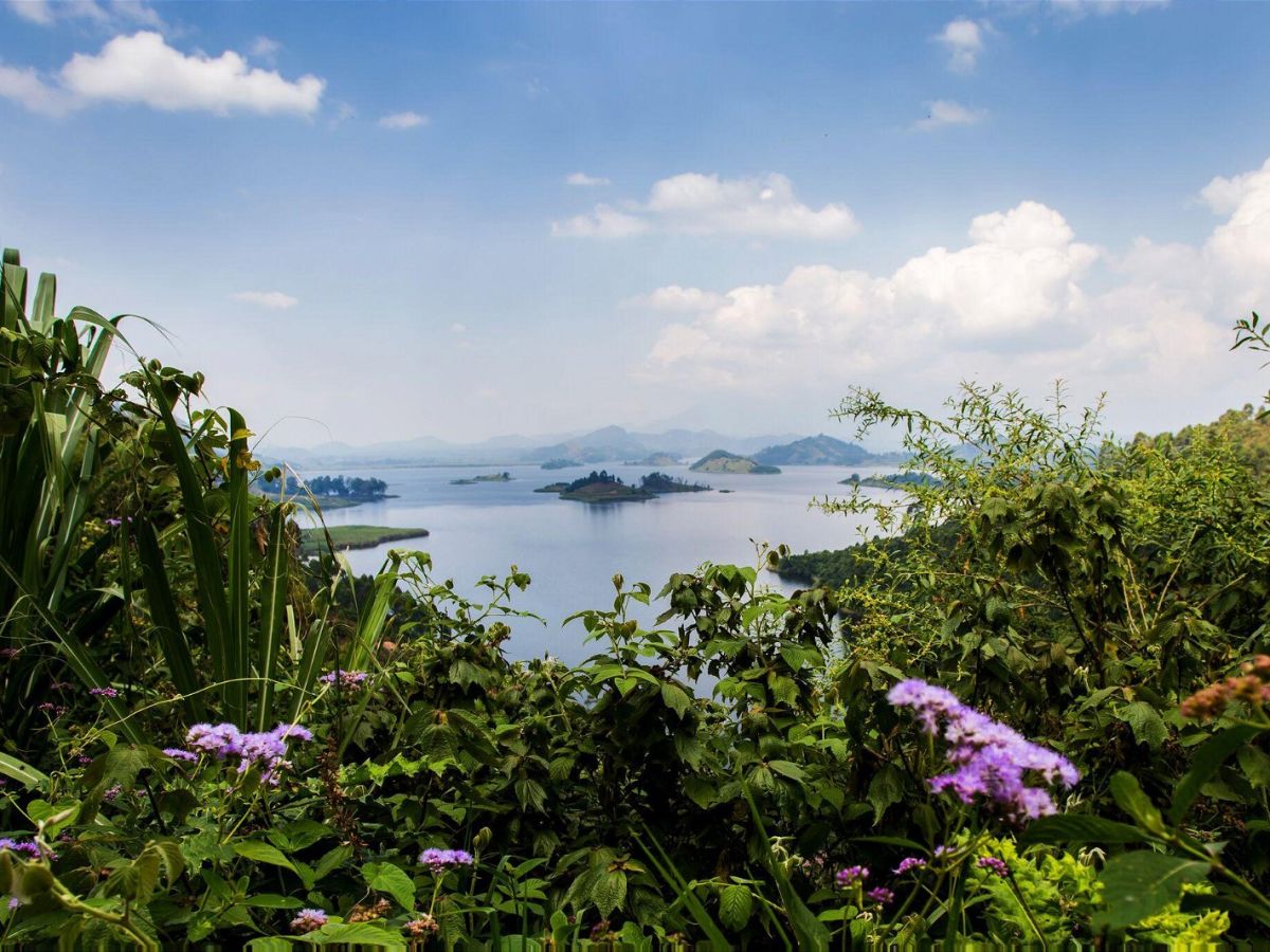 Chameleon Hill Lodge