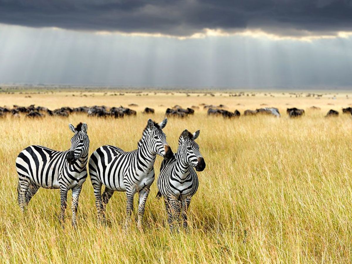 Travel by road to the Southern Serengeti