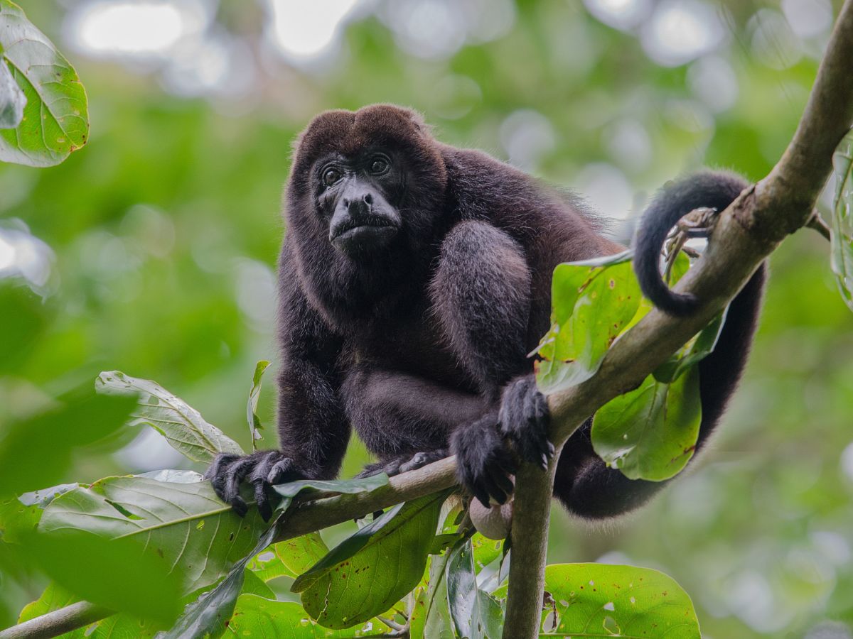 Safari Float Trip and Organic Farm