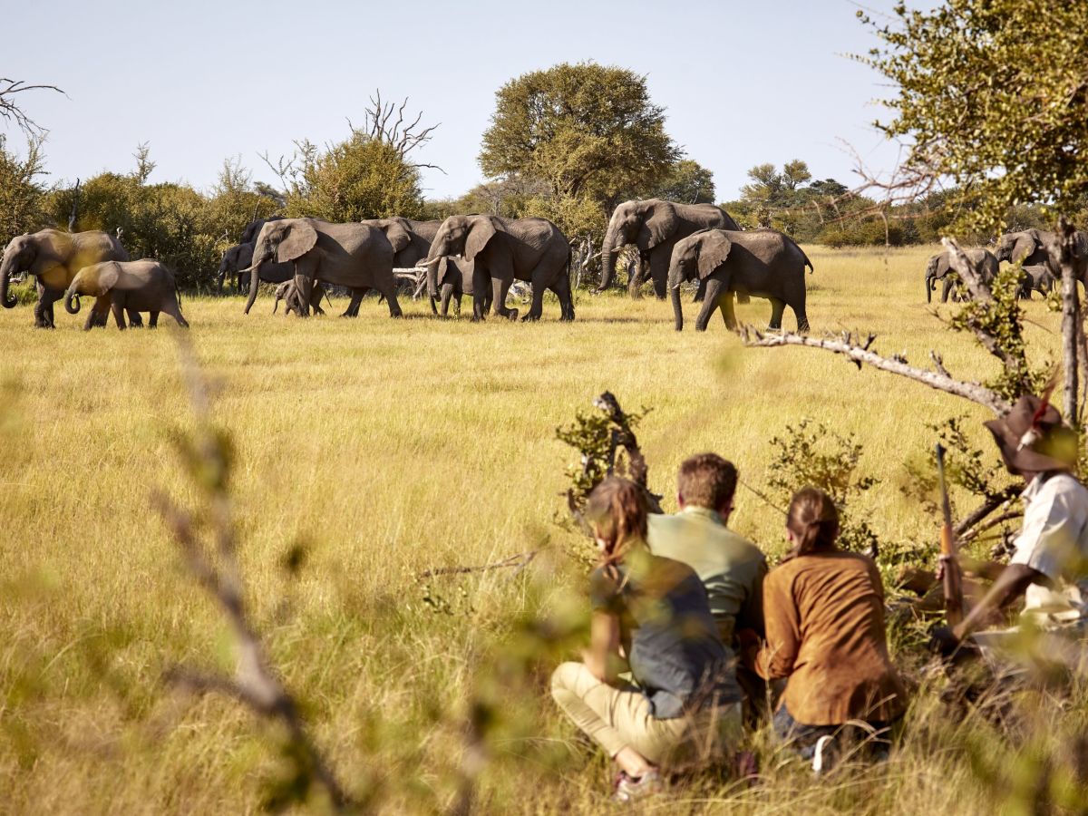 Hwange National Park