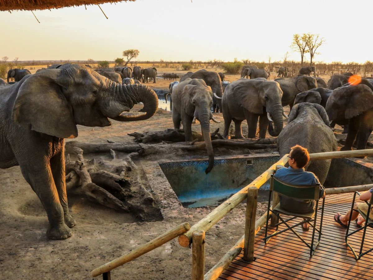 Hwange National Park