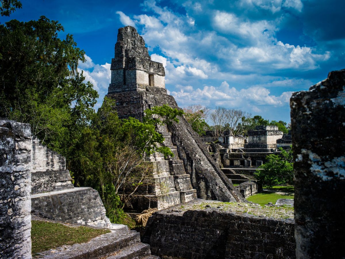 Tikal Mayan Ruins & Wildlife Encounter