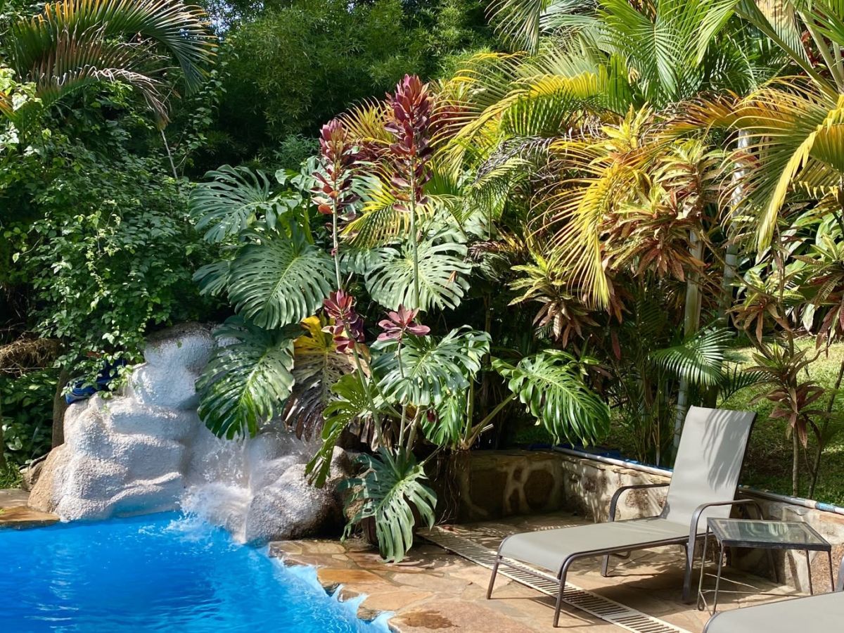 Arrive in Entebbe, Uganda