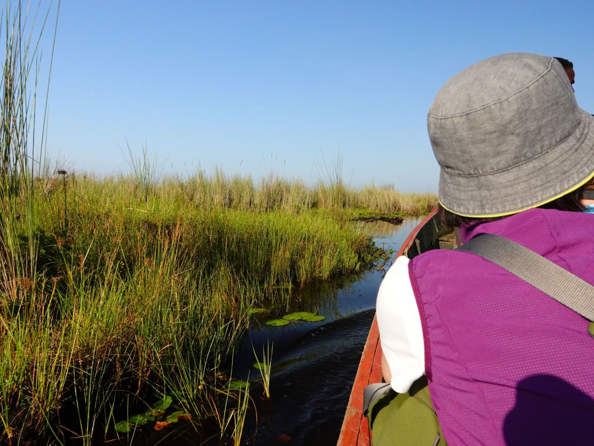 Mabamba Wetlands Birding