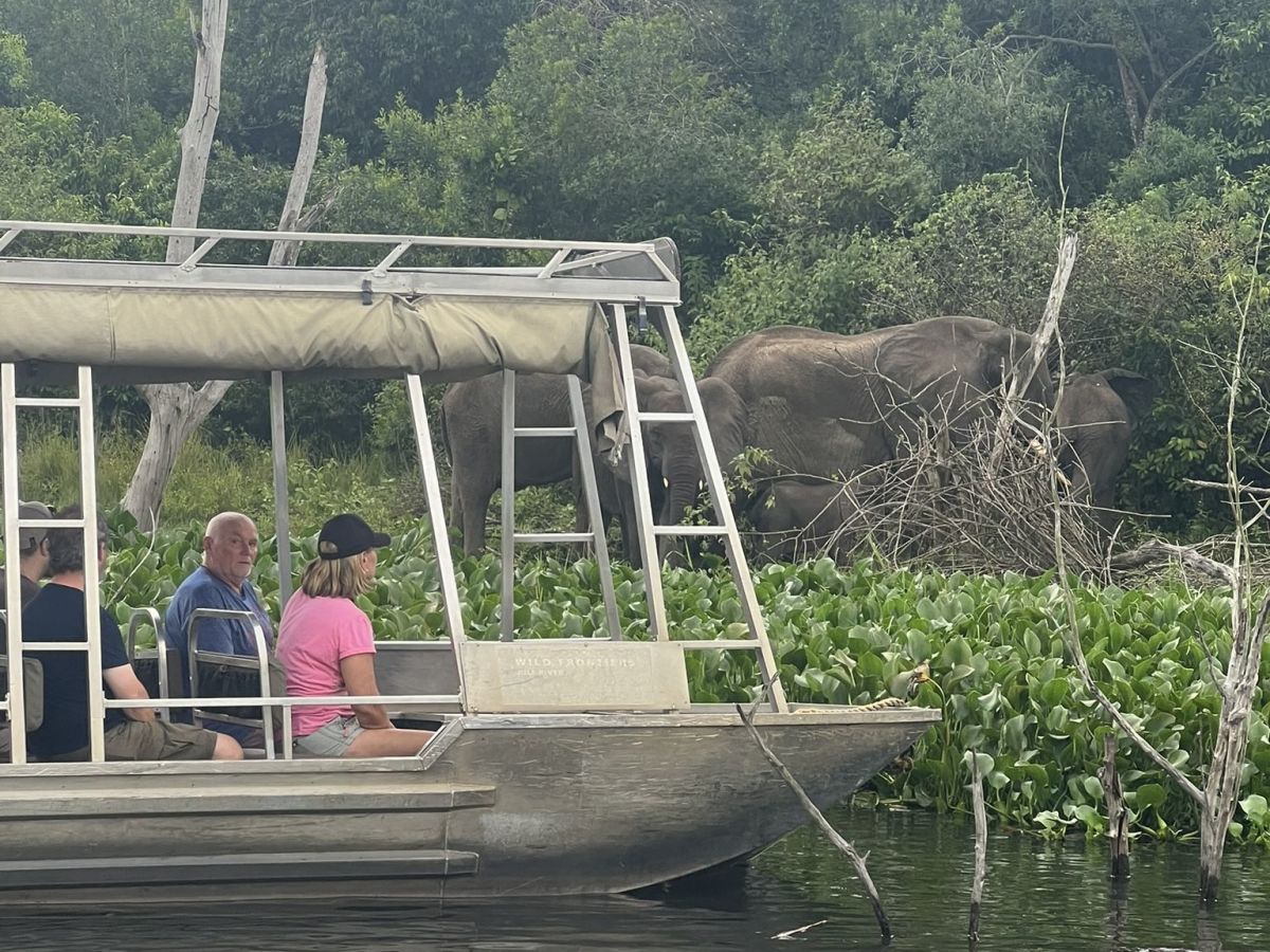Fly to Murchison Falls, Afternoon Lower Falls Boating