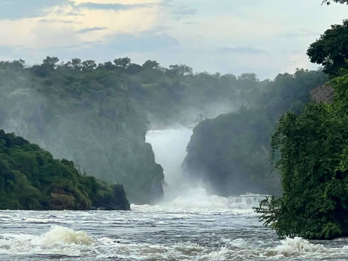 Fly to Murchison Falls, Afternoon Lower Falls Boating