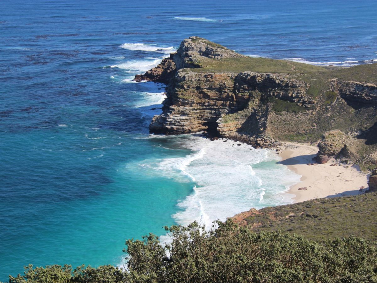 Cape Peninsula Tour/Full Day