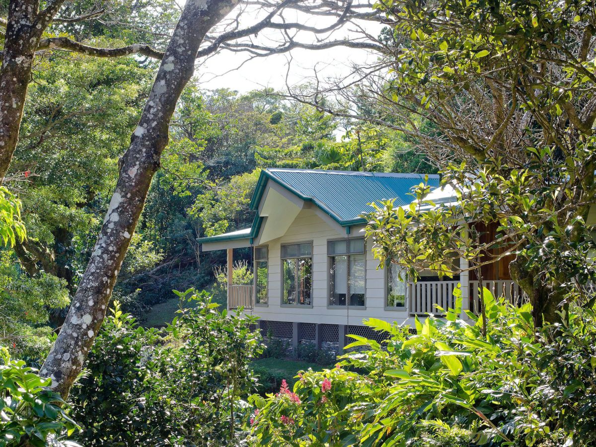Senda Monteverde