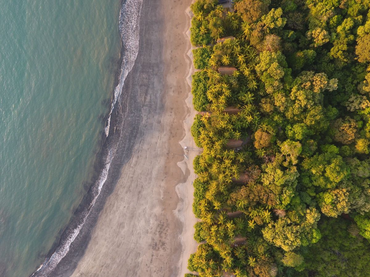 Isla Palenque