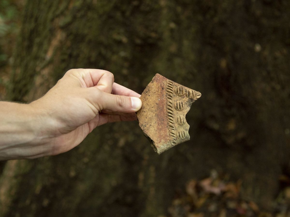 Explore Isla Palenque 3
