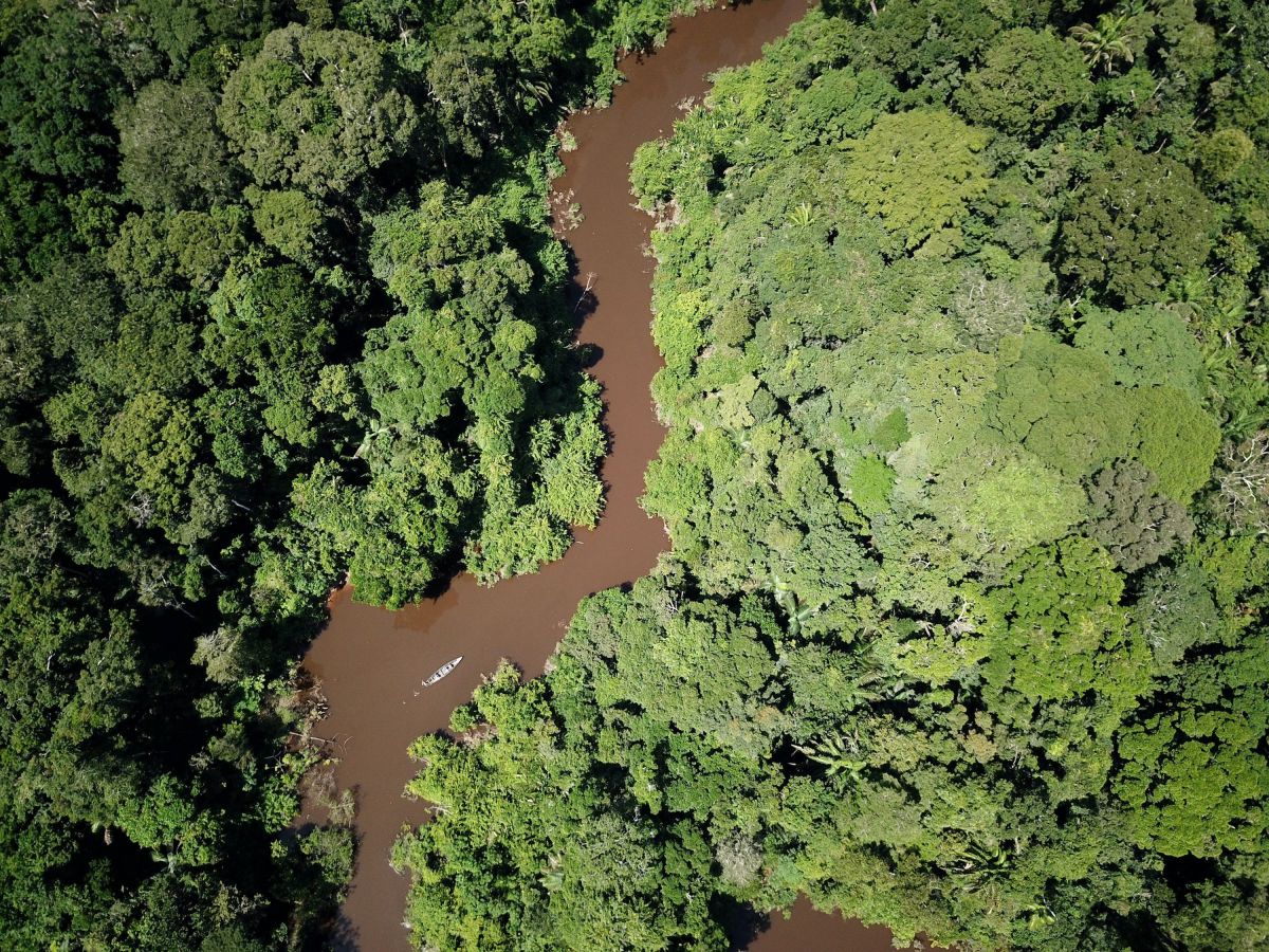 Continue Adventuring in the Peruvian Amazon