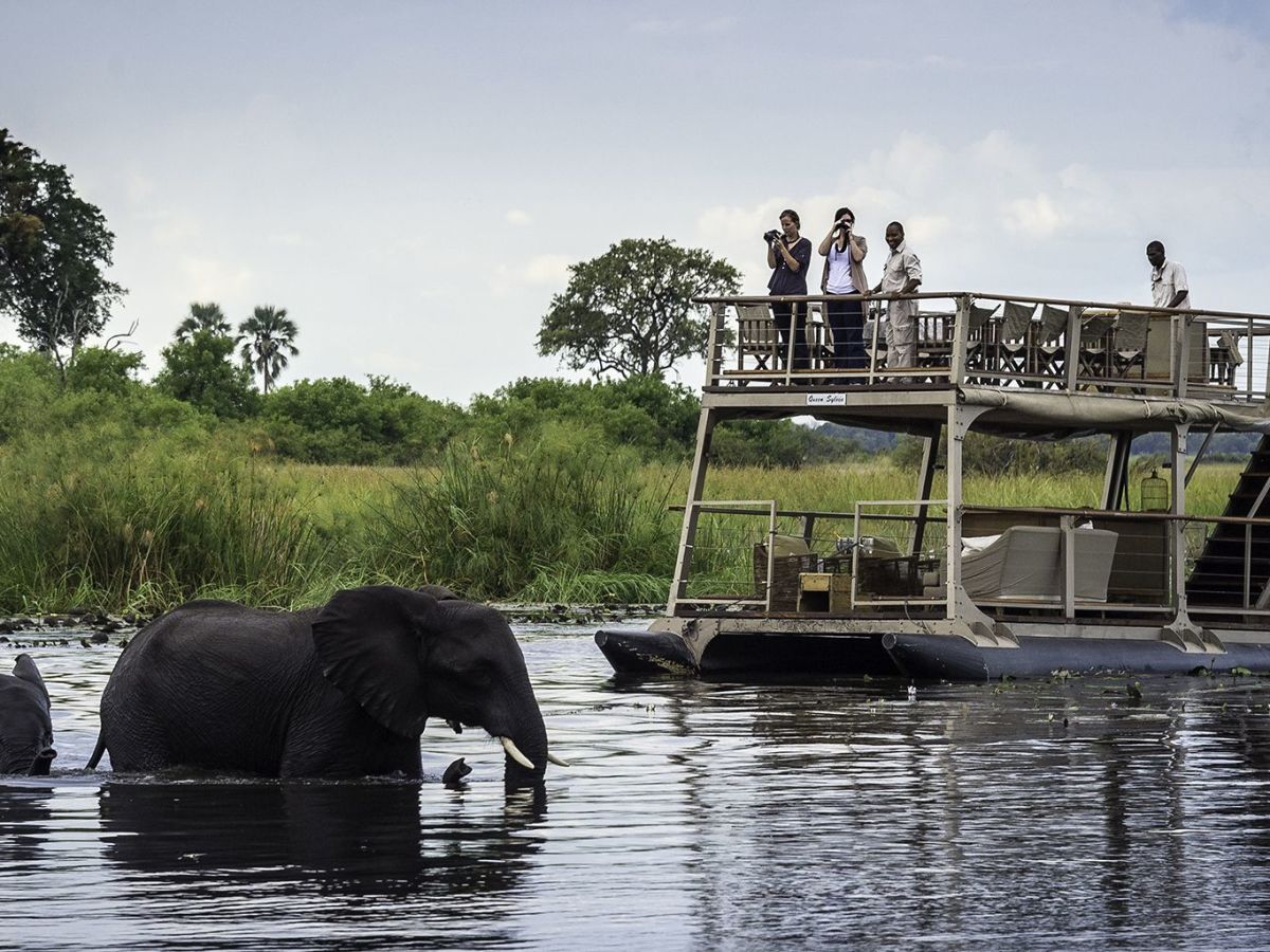 On safari in the Linyanti Wildlife Reserve