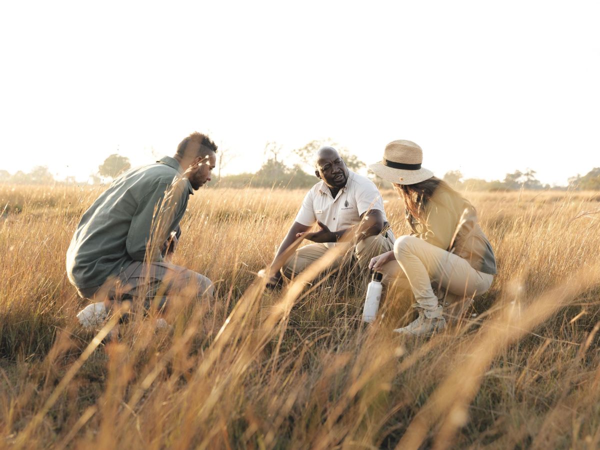 On safari in the Linyanti Wildlife Reserve
