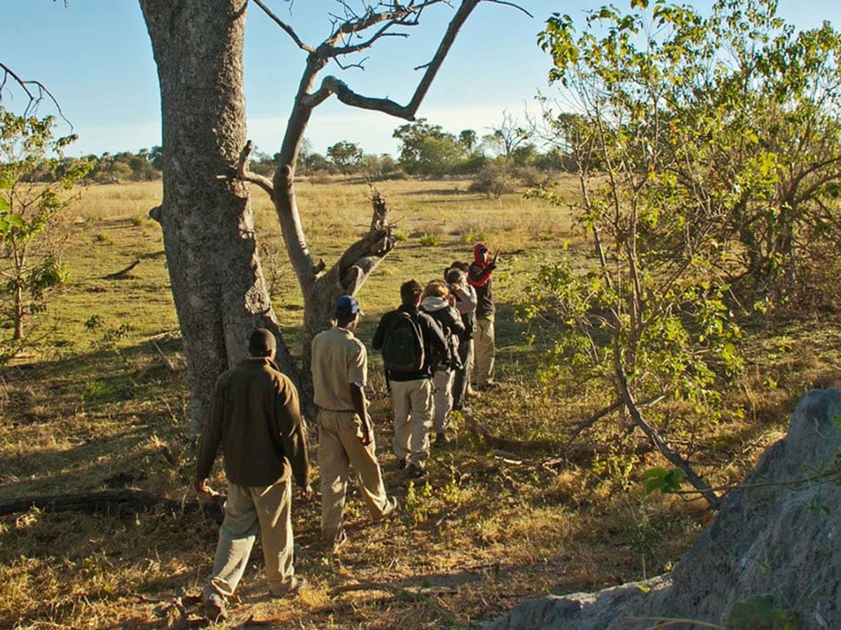 On safari in the Okavango Delta