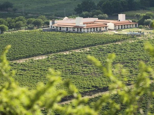 Viñas de Cafayate-Wine Resort