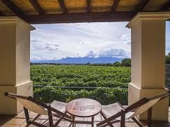 Viñas de Cafayate-Wine Resort