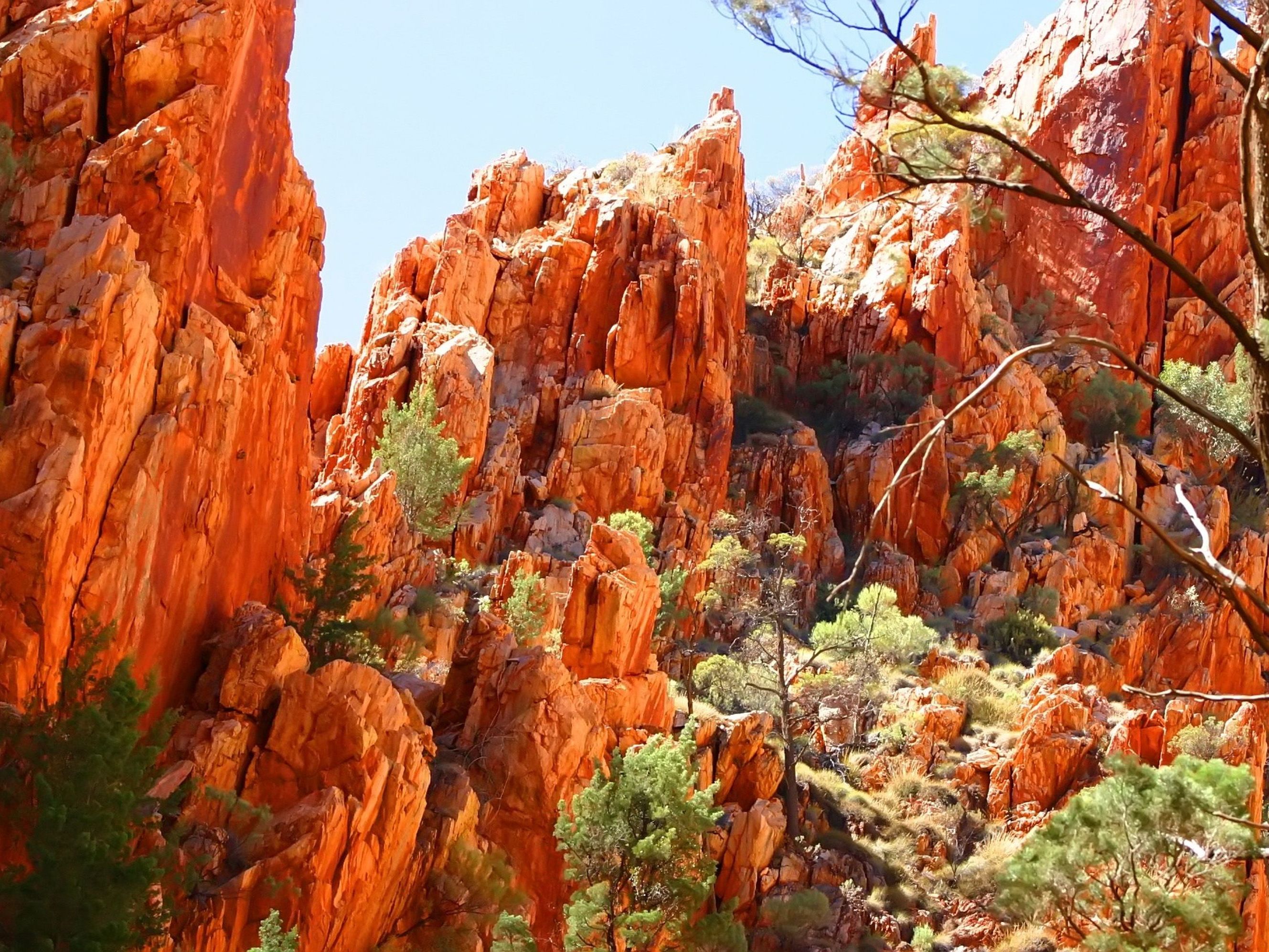 Kings Canyon - Alice Springs