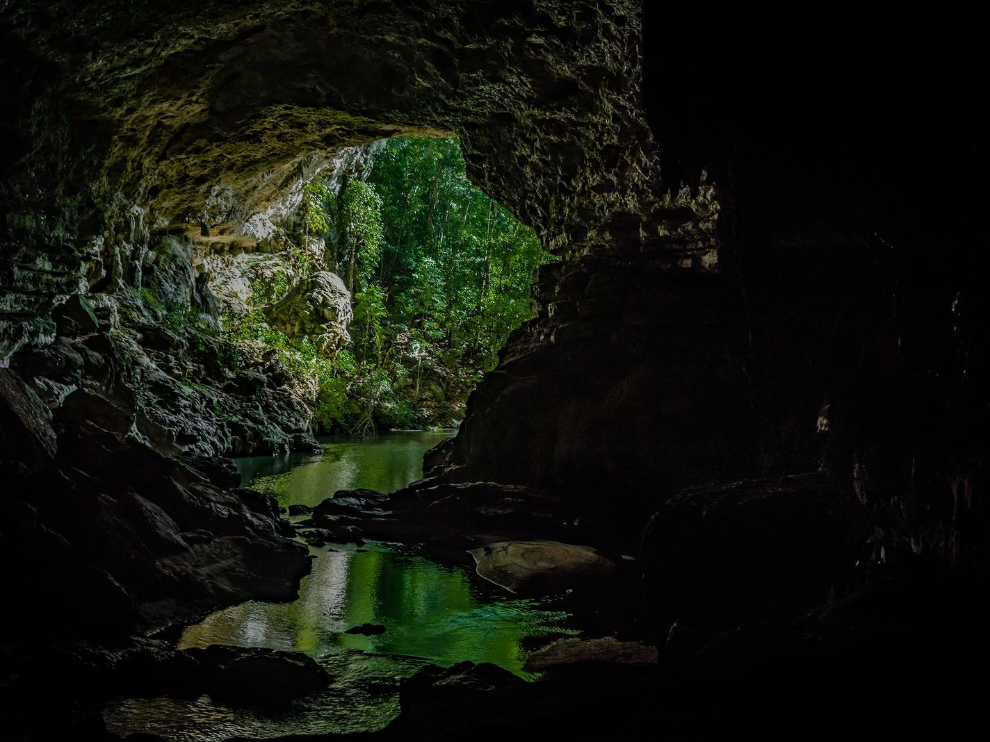 Fly to Belize & Transfer to Cayo District