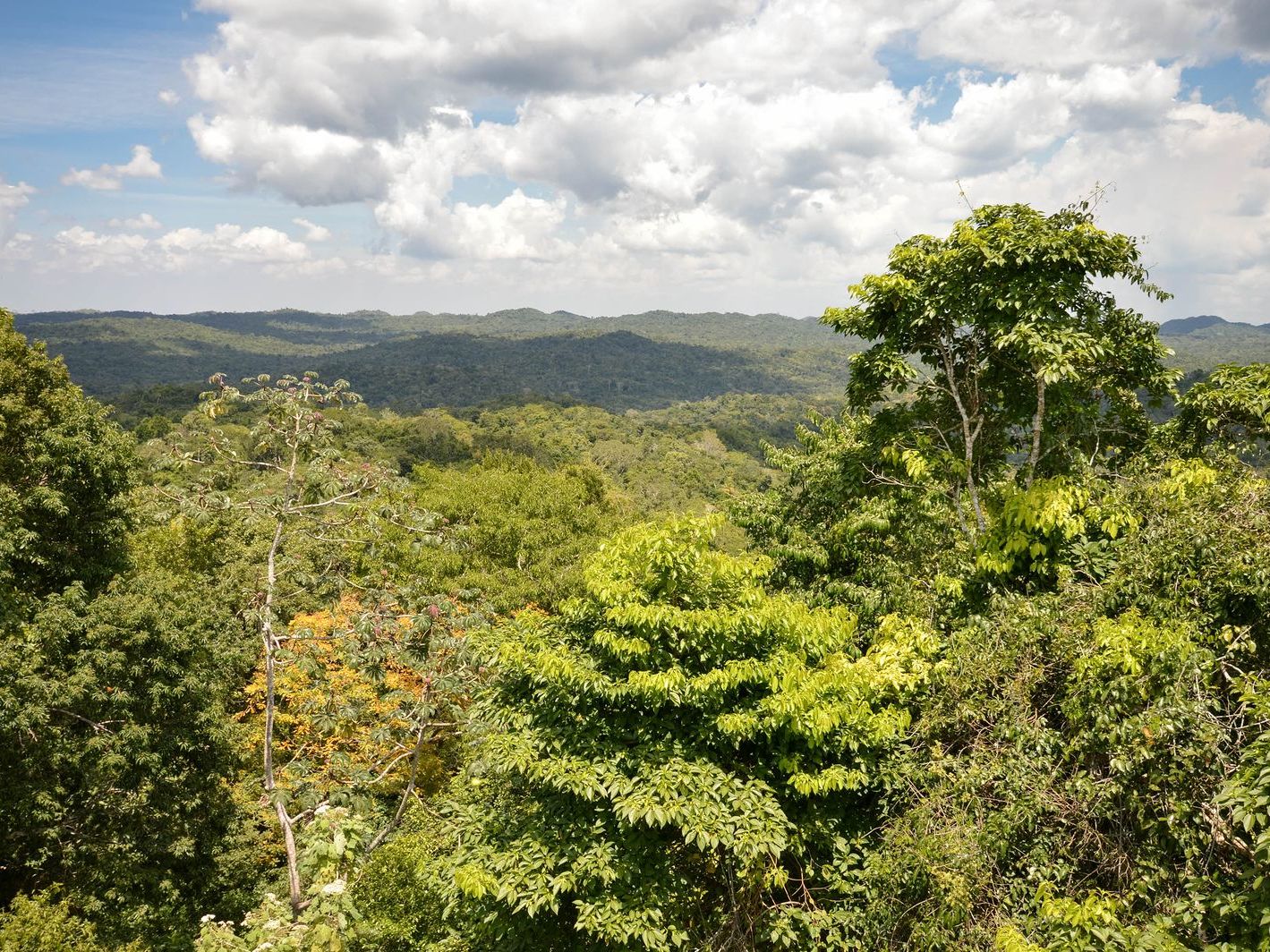 Fly to Belize & Transfer to Cayo District