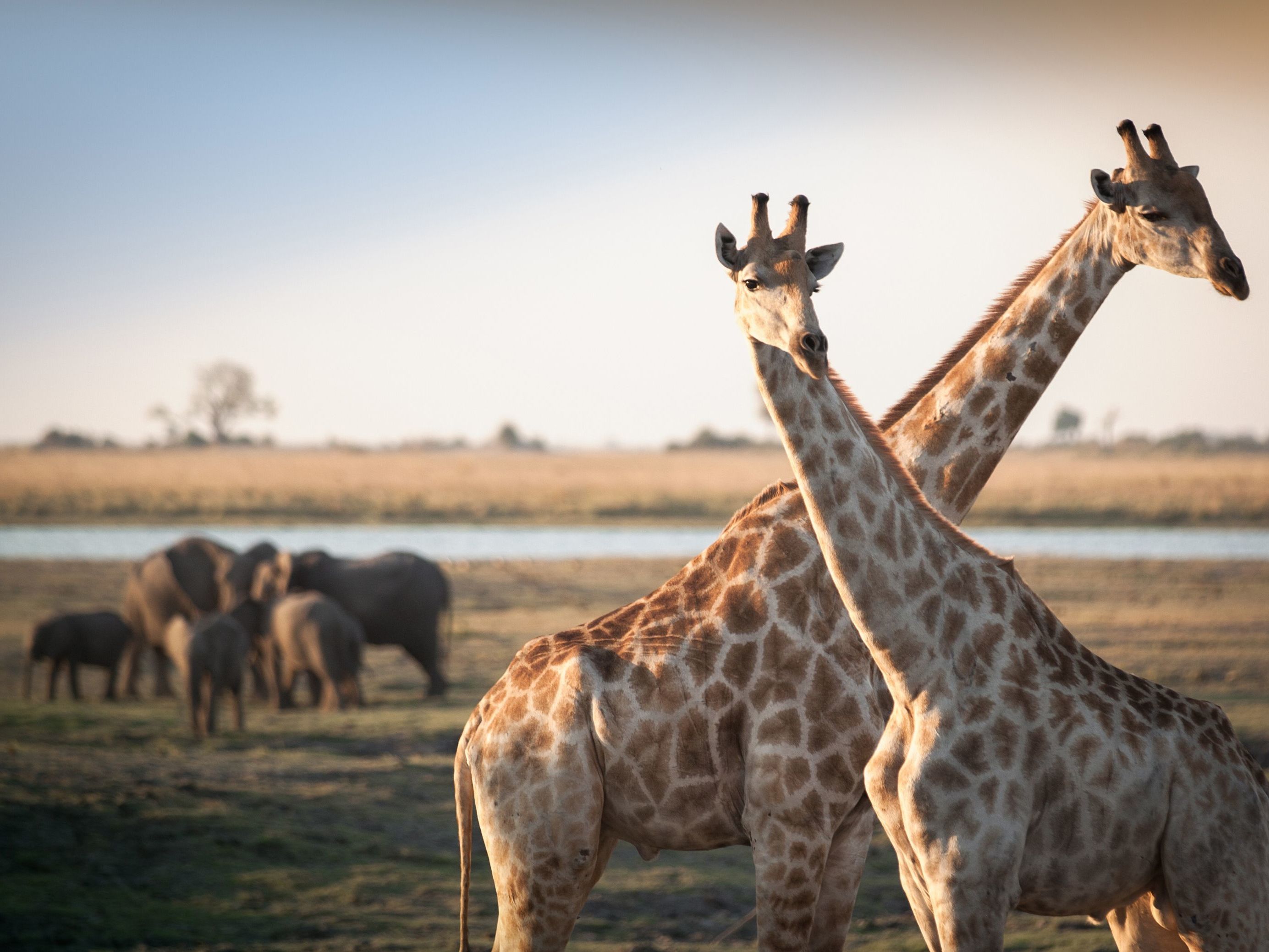 Okavango Delta - Maun