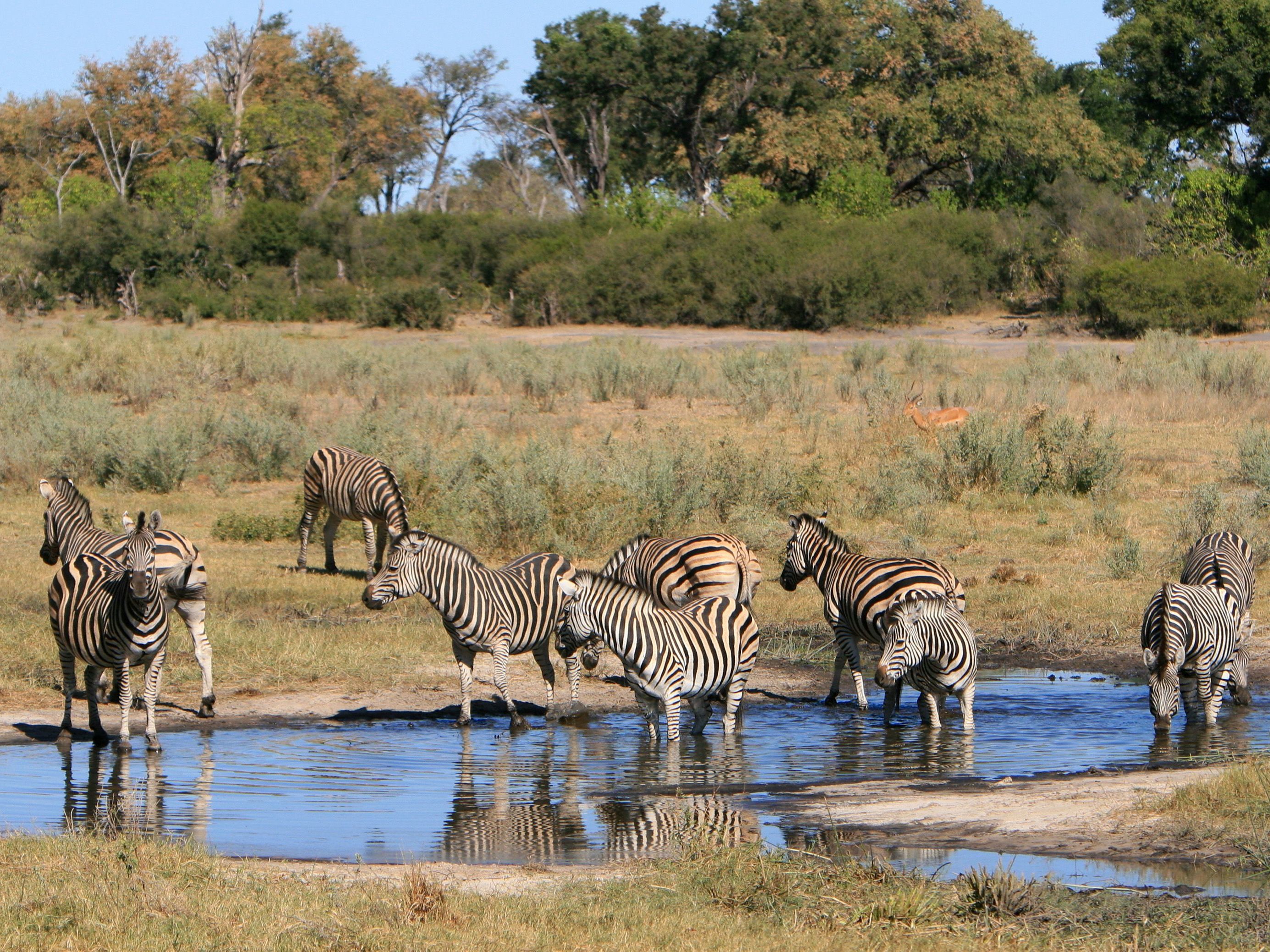 Victoria Falls - Selinda Spillway
