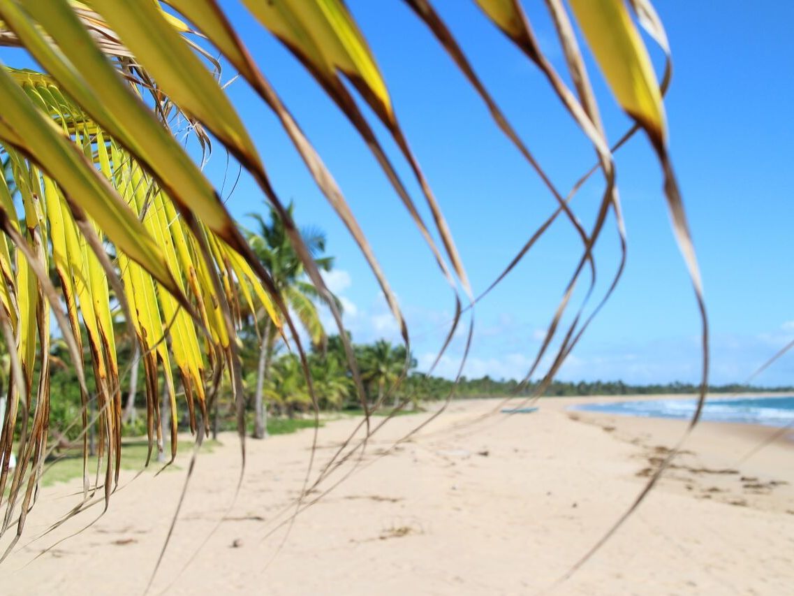Peninsula de Marau - Ilheus Departure