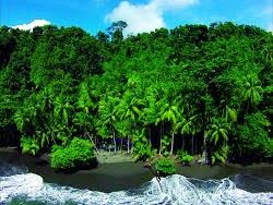 Casa Corcovado Jungle Lodge