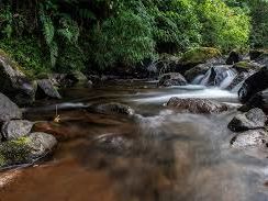 San Jose to El Silencio Lodge