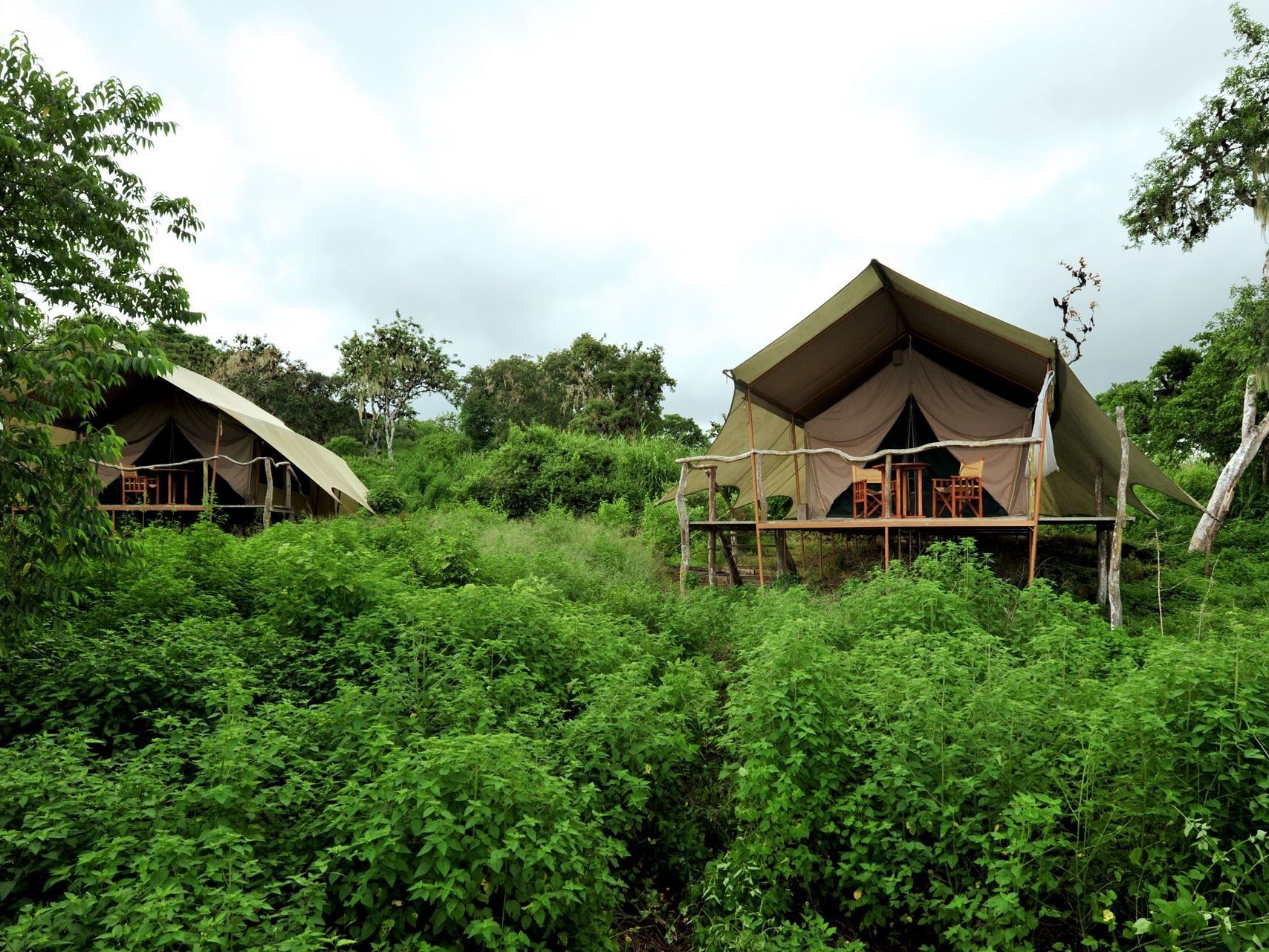 Tortises, Lava Tunnels & Galapagos Safari Camp