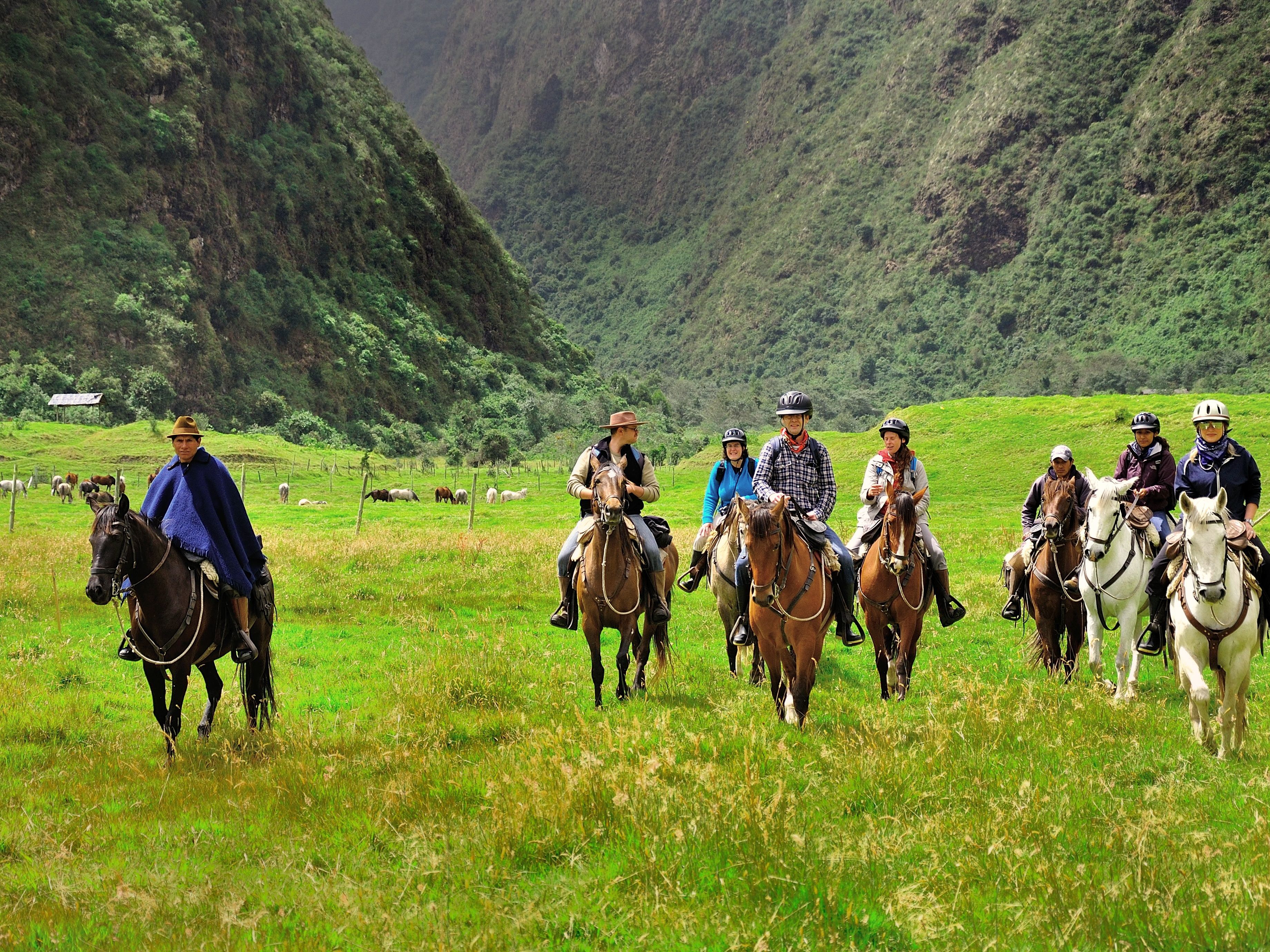 Hacienda Zuleta Explorations