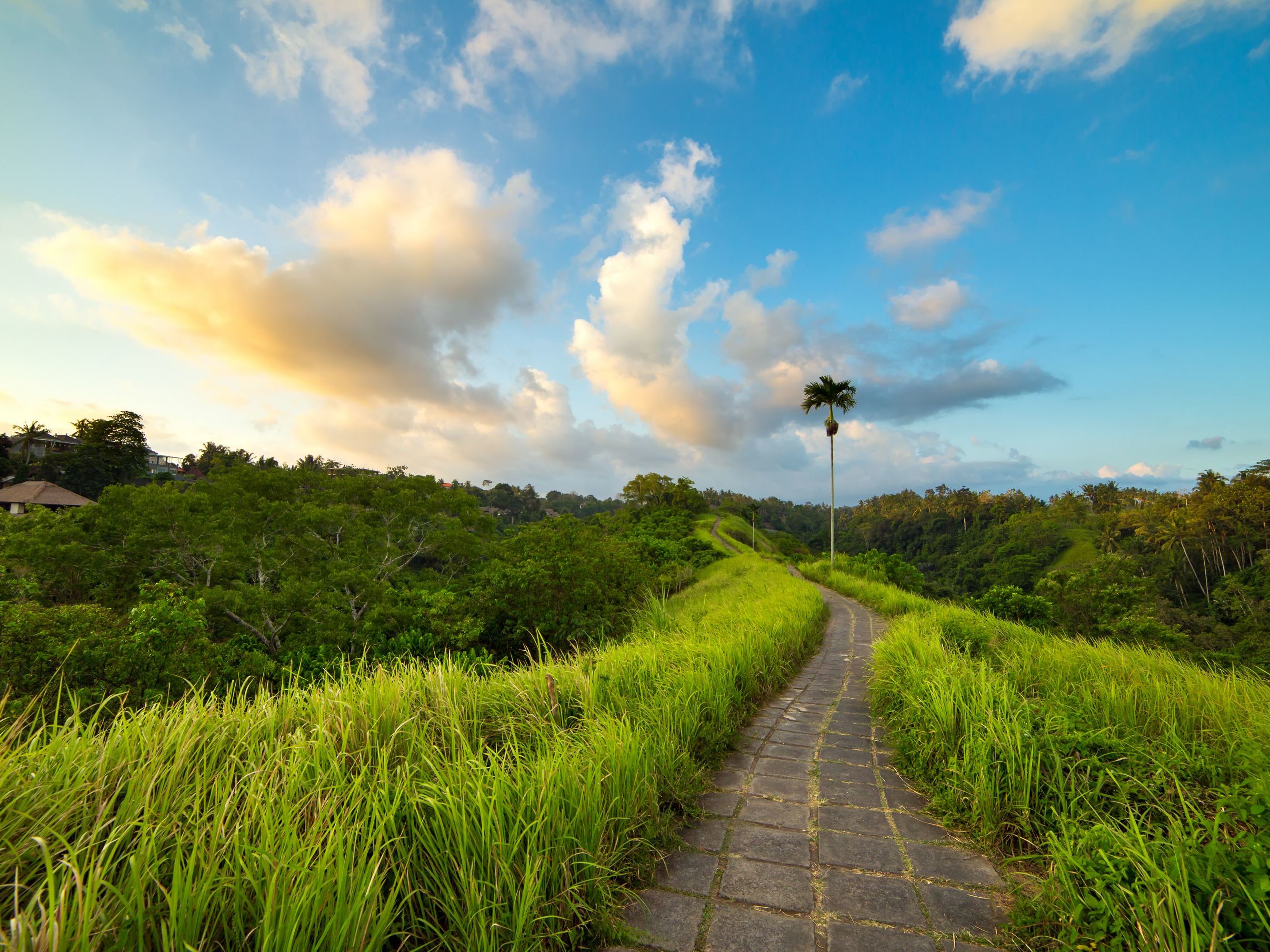 Ubud - Denpasar Departure