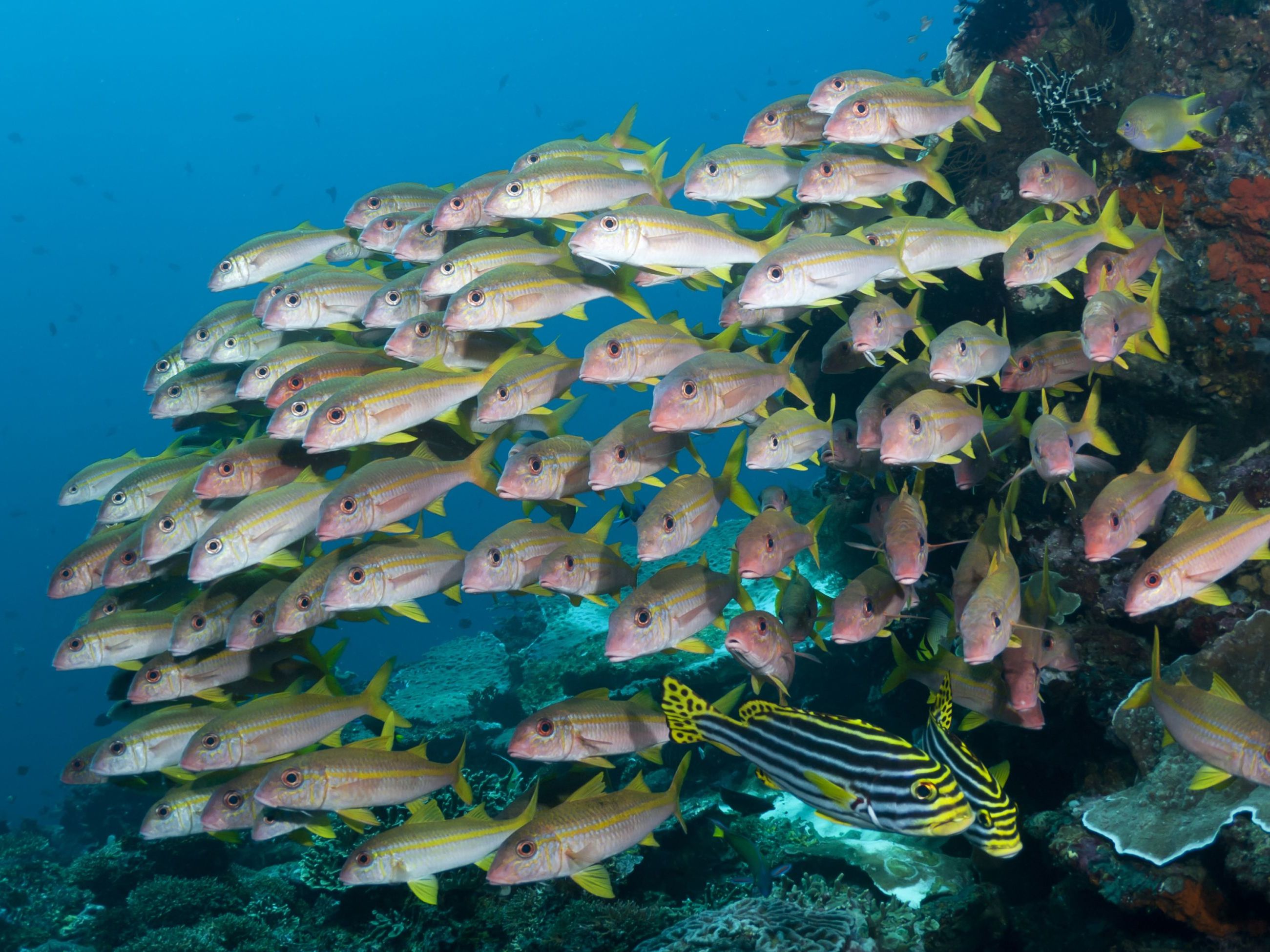 Baltra Arrival - Santa Cruz Island