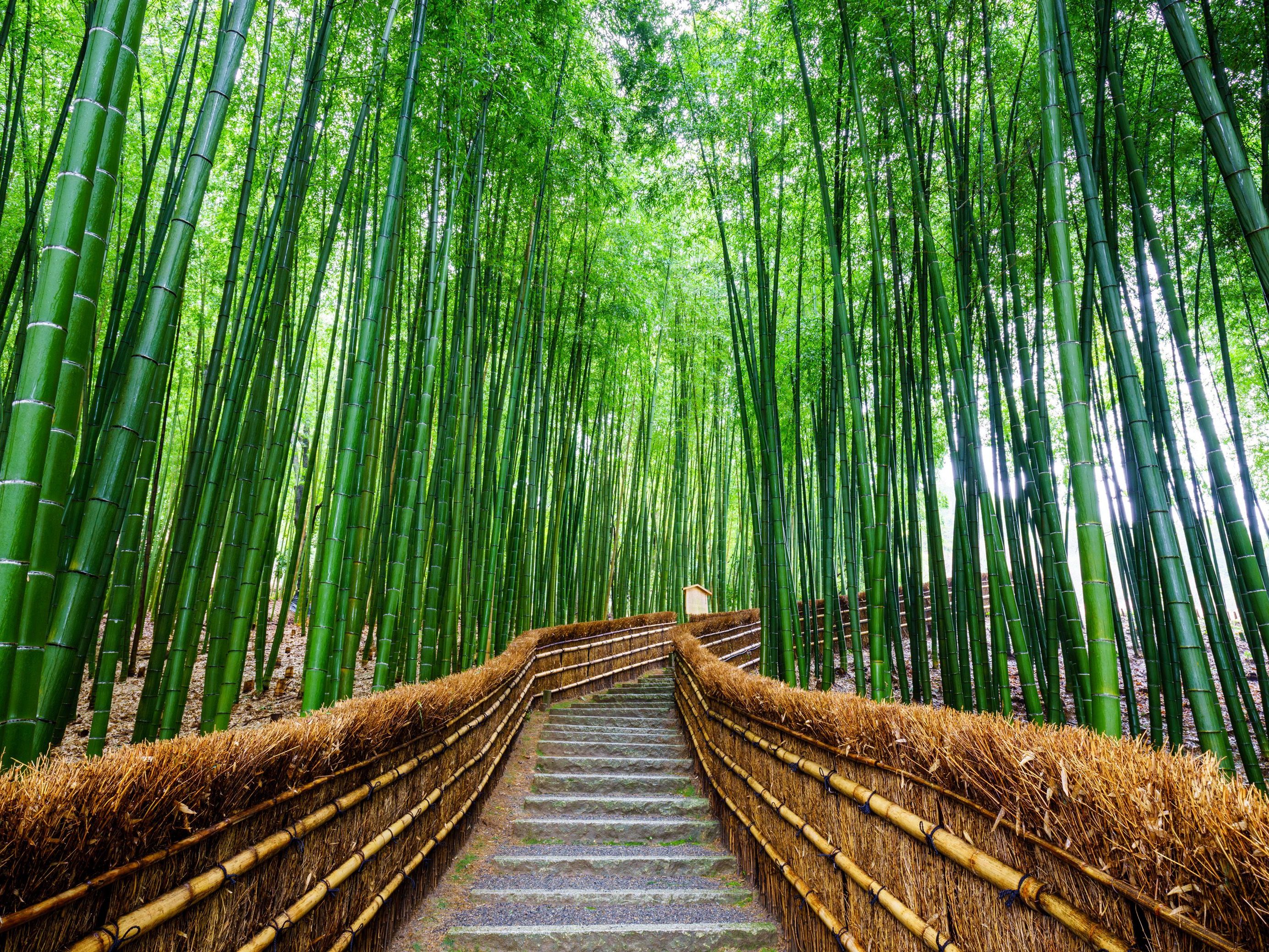 Hakone - Kyoto