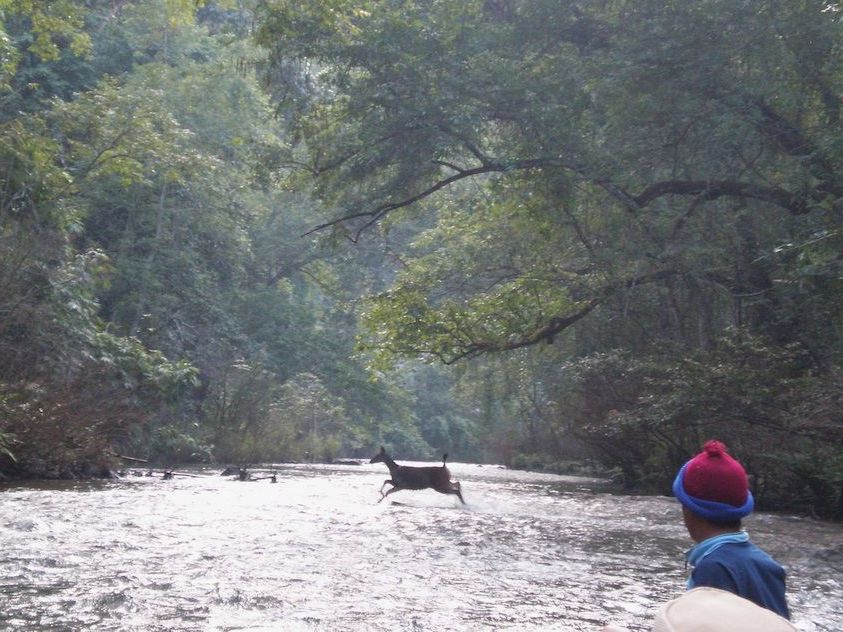 Nam Et-Phou Louey National Protected Area