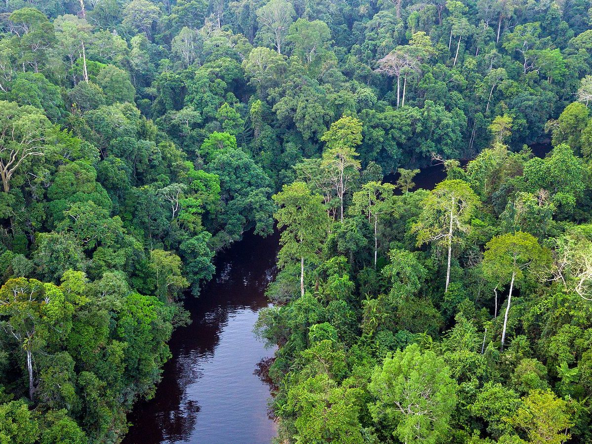 Kuala Lumpur - Taman Negara National Park