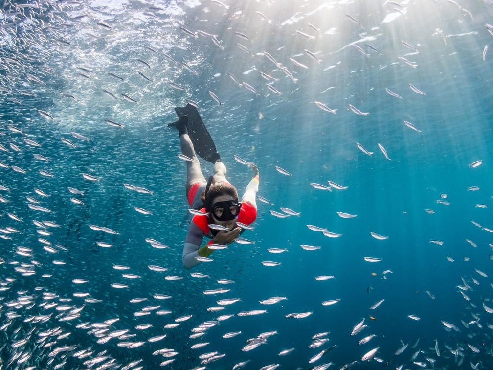 Todos Santos - Isla Espiritu Santo