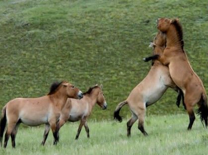 Hutsai National Park Exploration