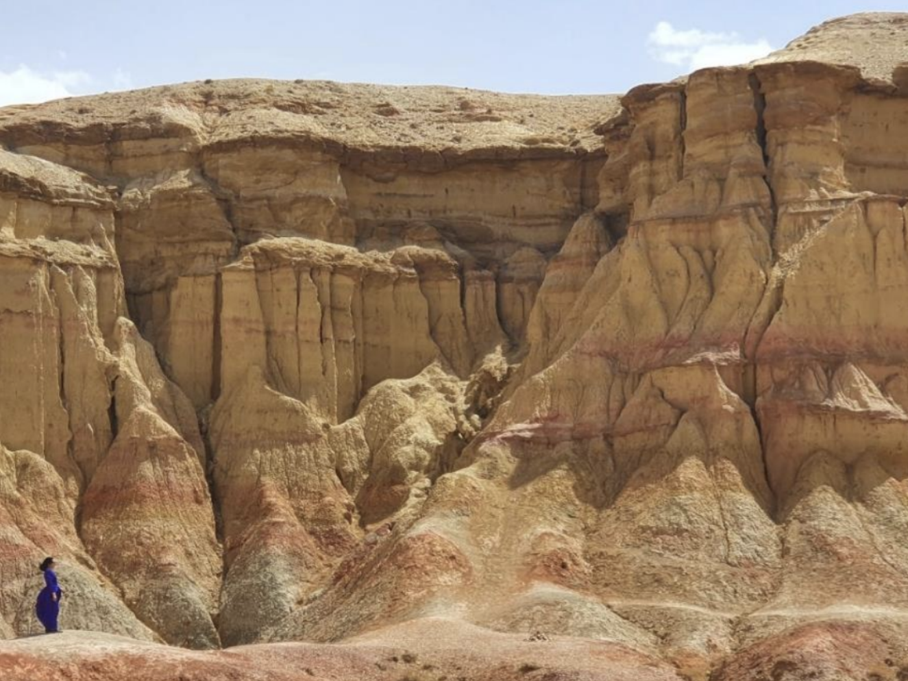 White Stupa & Gobi Museum