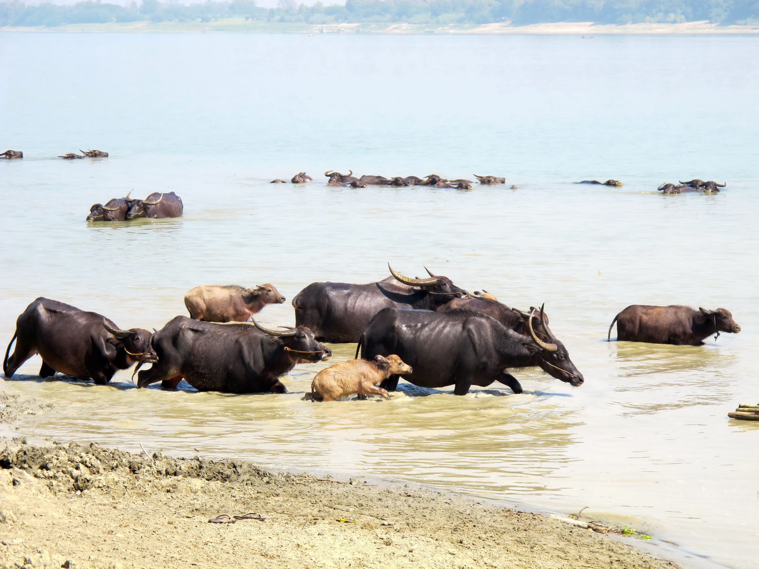 Yandabo - Pakkoku - Bagan