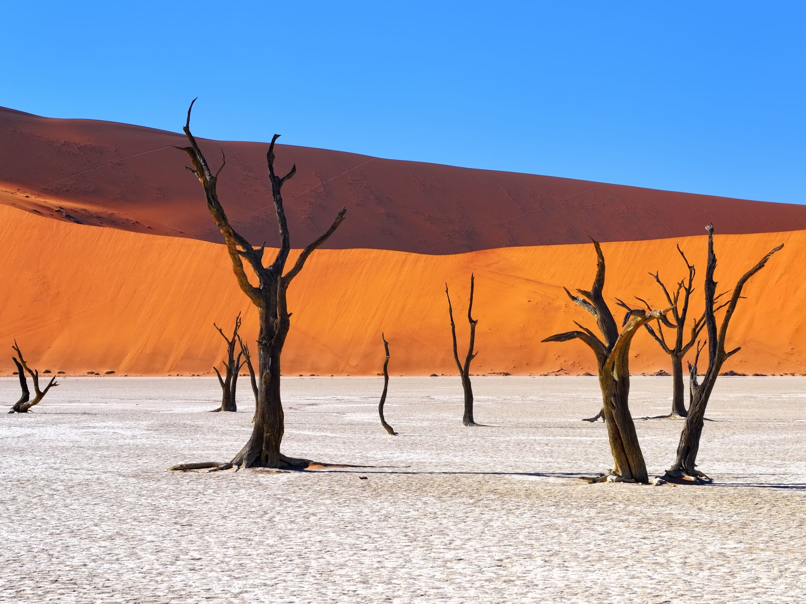 Sossusvlei