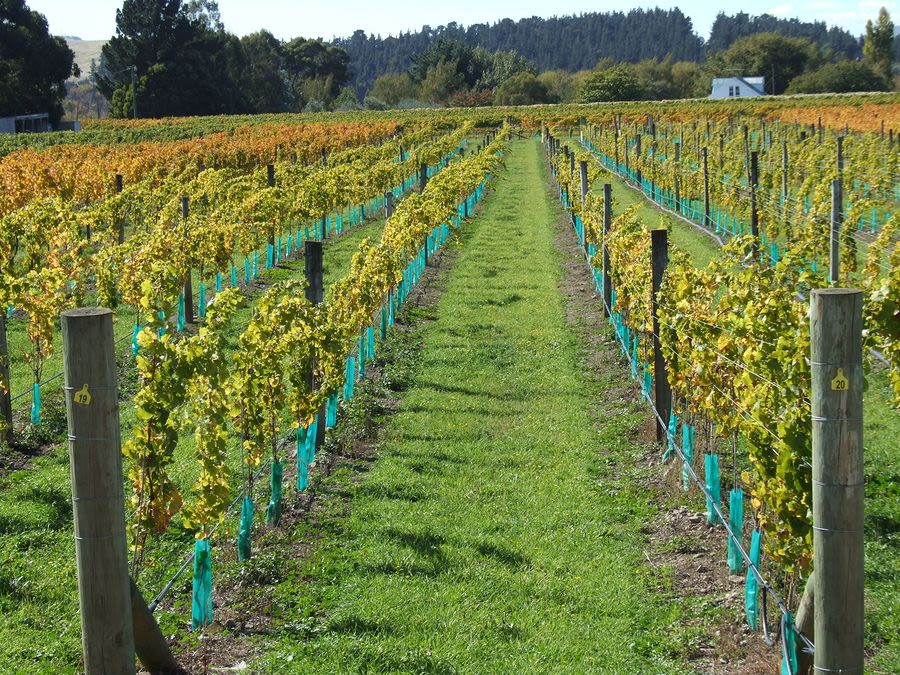 Hawkes Bay - Napier - Martinborough