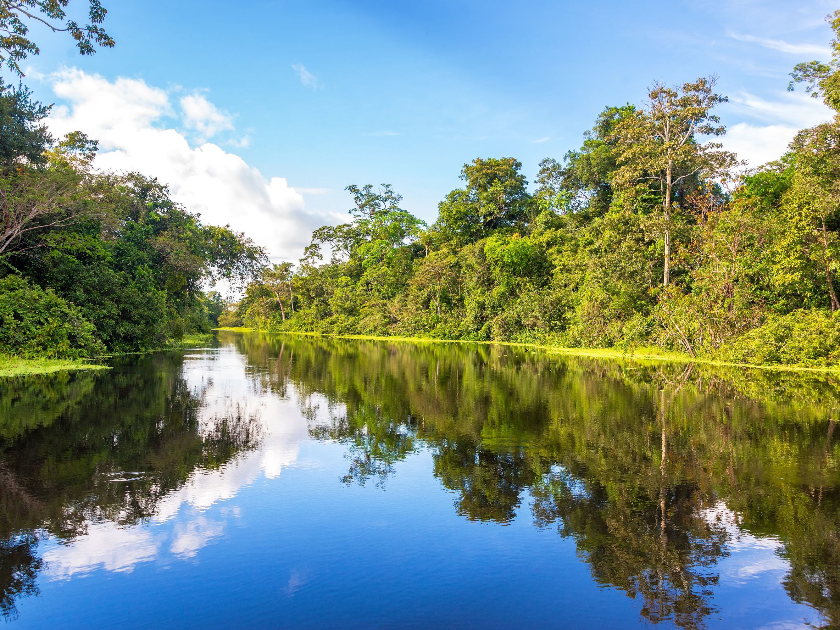 Cusco - Puerto Maldonado - Hacienda Concepcion